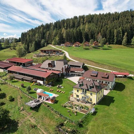 Liebenfels Hochleben-Chalets Am Erlebnisbauernhof Steinerhof מראה חיצוני תמונה