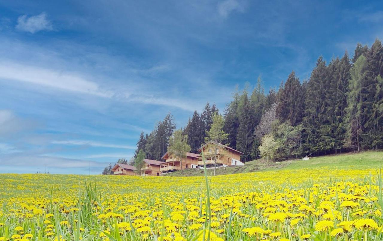 Liebenfels Hochleben-Chalets Am Erlebnisbauernhof Steinerhof מראה חיצוני תמונה