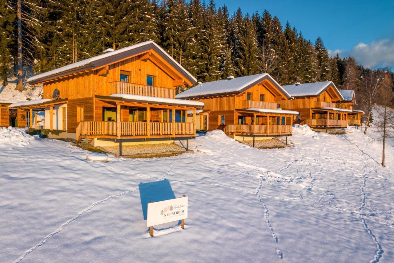 Liebenfels Hochleben-Chalets Am Erlebnisbauernhof Steinerhof מראה חיצוני תמונה