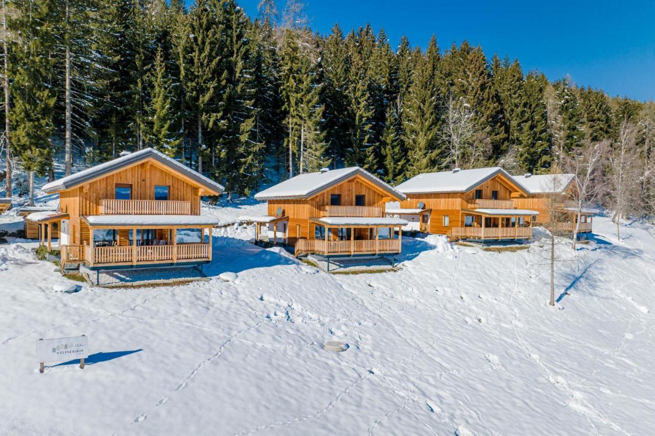 Liebenfels Hochleben-Chalets Am Erlebnisbauernhof Steinerhof מראה חיצוני תמונה