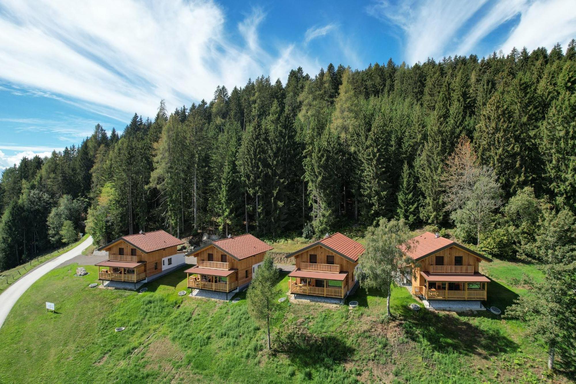 Liebenfels Hochleben-Chalets Am Erlebnisbauernhof Steinerhof מראה חיצוני תמונה