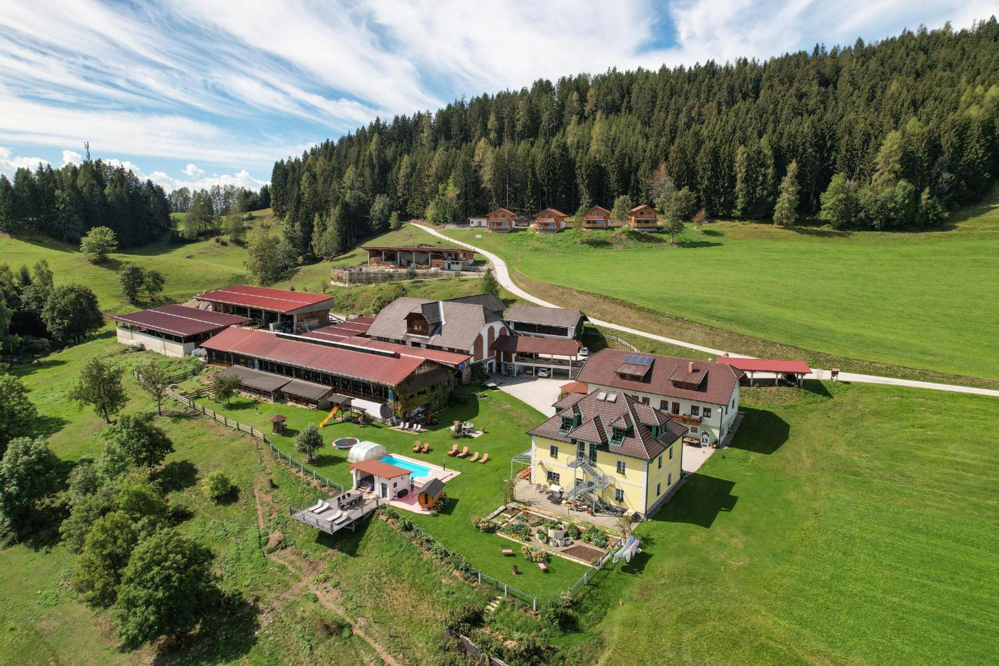 Liebenfels Hochleben-Chalets Am Erlebnisbauernhof Steinerhof מראה חיצוני תמונה